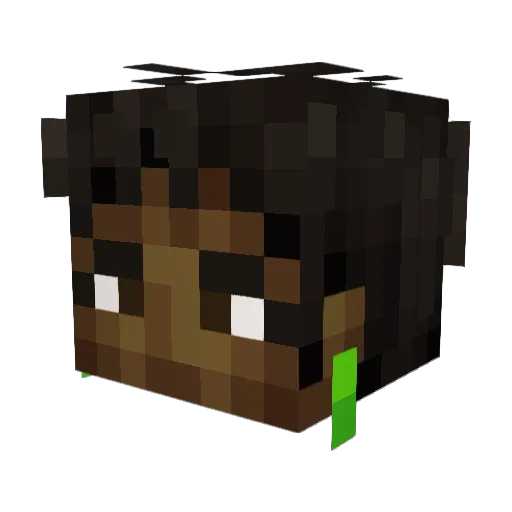 alyssaisit Minecraft avatar head, 3D render