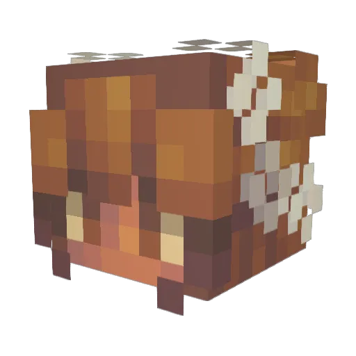 alyssas34 Minecraft avatar head, 3D render
