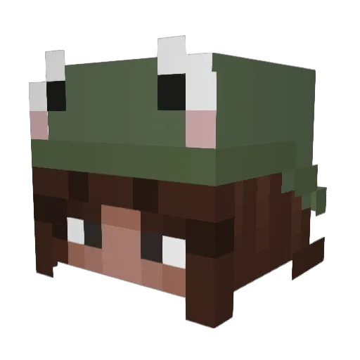 alyssasgf Minecraft avatar head, 3D render