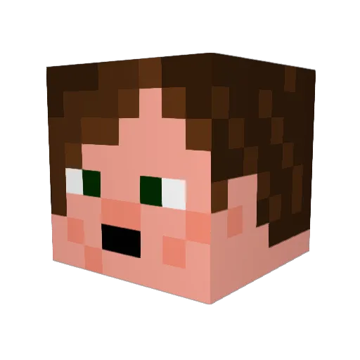 alyttlebird Minecraft avatar head, 3D render