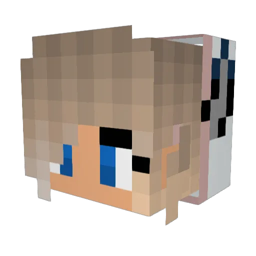 alyyyyyyy Minecraft avatar head, 3D render