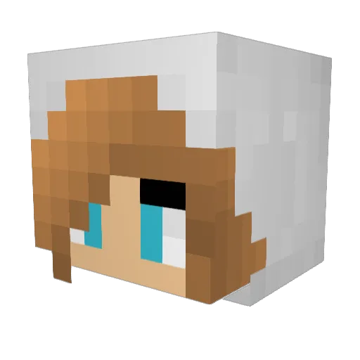 am1nosan Minecraft avatar head, 3D render