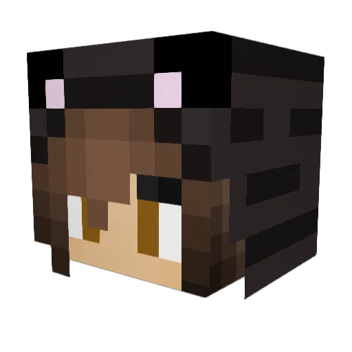amJason Minecraft avatar head, 3D render