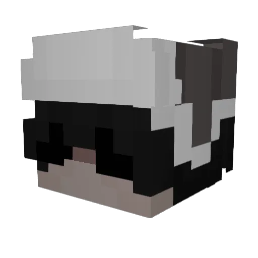 amSana Minecraft avatar head, 3D render