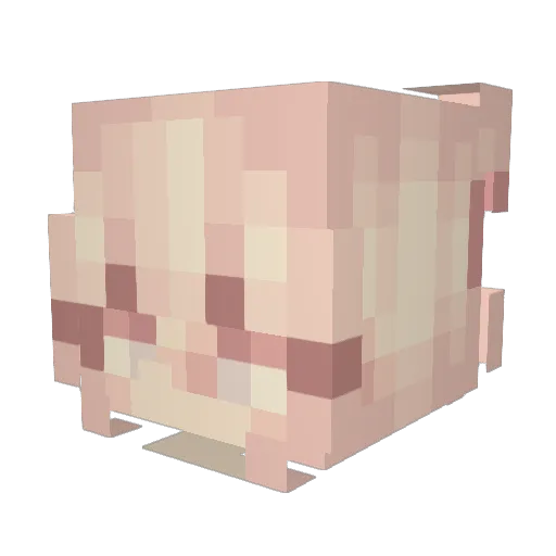 amSplishSploosh Minecraft avatar head, 3D render