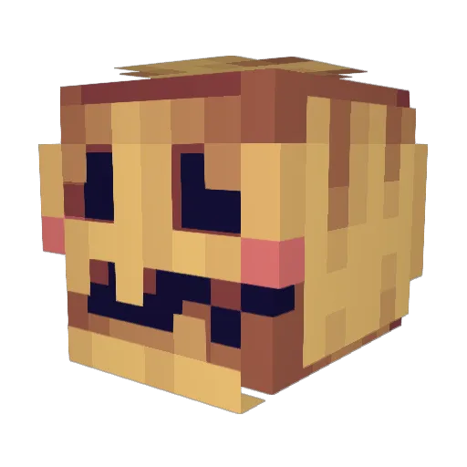 amTiredpm Minecraft avatar head, 3D render