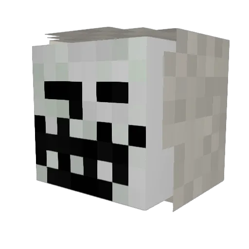 am_nuts Minecraft avatar head, 3D render