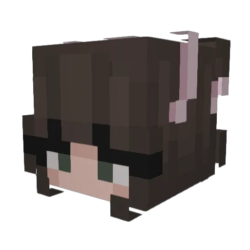 amaanderz Minecraft avatar head, 3D render
