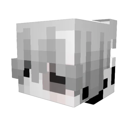 amalero Minecraft avatar head, 3D render