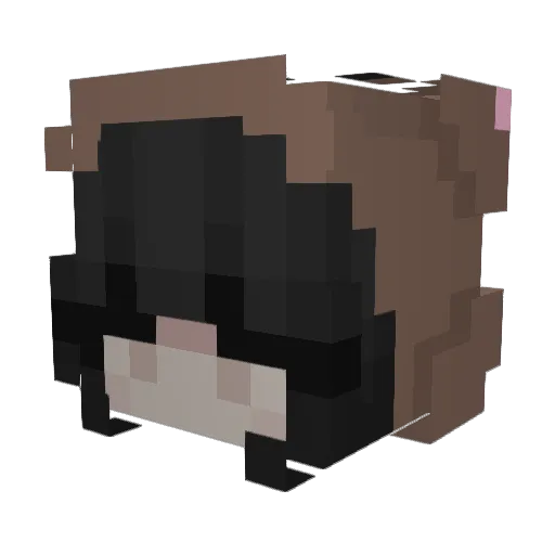 amaliii Minecraft avatar head, 3D render