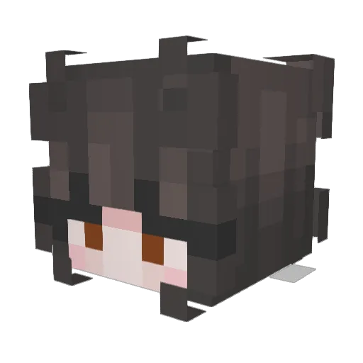 amalijaa Minecraft avatar head, 3D render