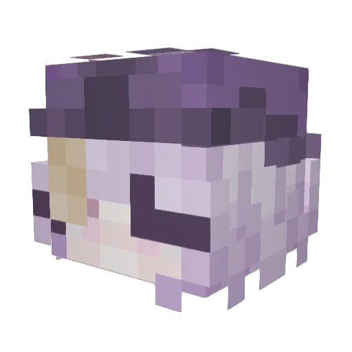 amamio55 Minecraft avatar head, 3D render