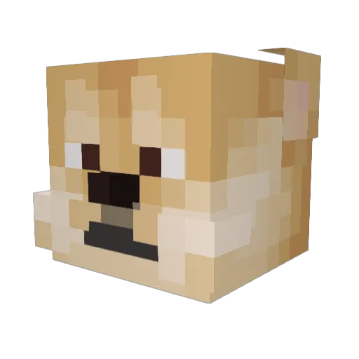 aman11ANK Minecraft avatar head, 3D render