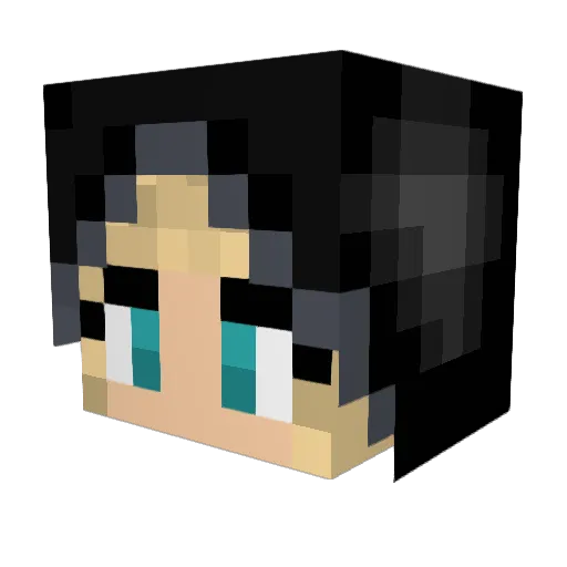 amanda1111 Minecraft avatar head, 3D render