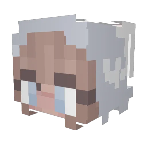 amandaeu Minecraft avatar head, 3D render