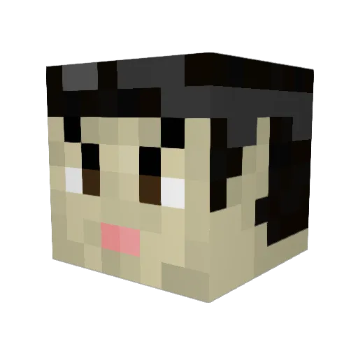 amandar00lz Minecraft avatar head, 3D render