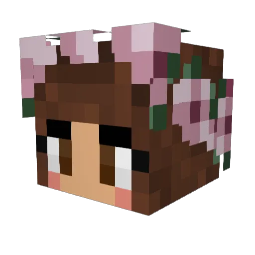 amara334 Minecraft avatar head, 3D render