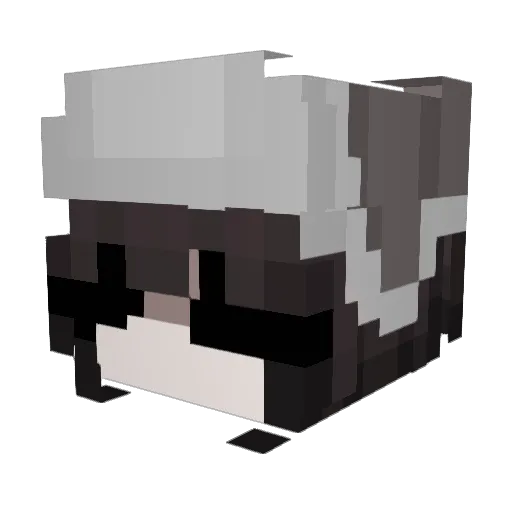 amarawhy Minecraft avatar head, 3D render