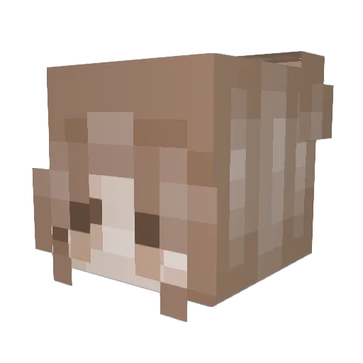 amaryduh Minecraft avatar head, 3D render
