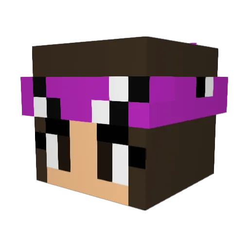 amayrani8 Minecraft avatar head, 3D render