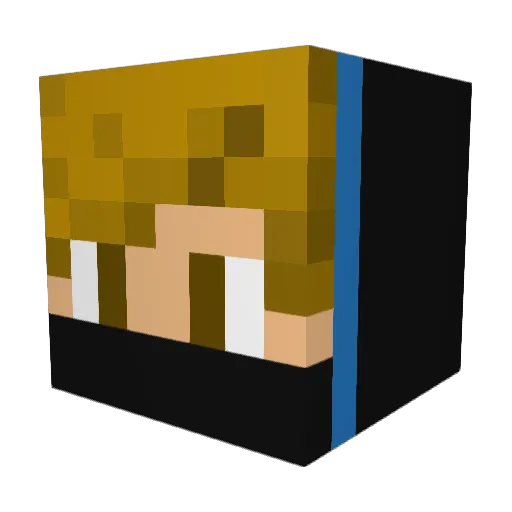 amazingflo98 Minecraft avatar head, 3D render