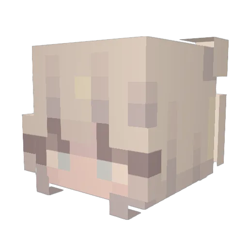 amazinggrace22 Minecraft avatar head, 3D render