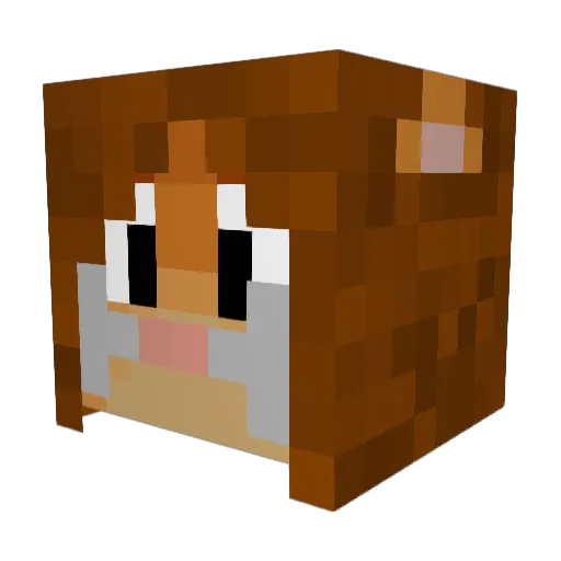 amazinglarry102 Minecraft avatar head, 3D render