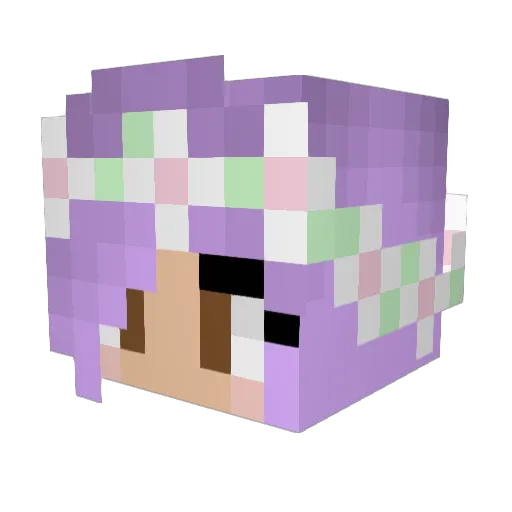 amazingpanda112 Minecraft avatar head, 3D render