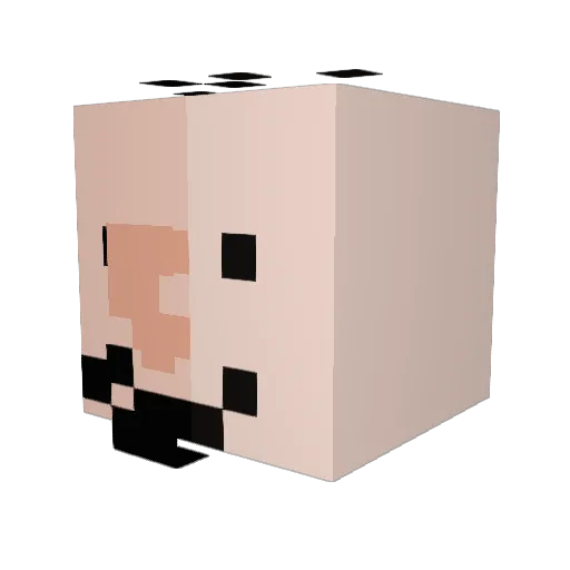 ambassador1019 Minecraft avatar head, 3D render