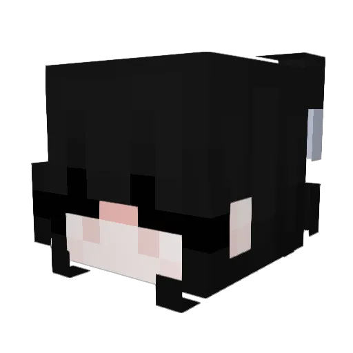ambawls Minecraft avatar head, 3D render