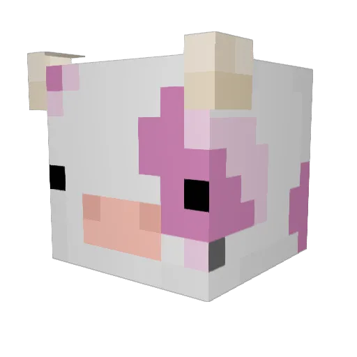 amberlhy7 Minecraft avatar head, 3D render
