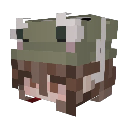 amberstyx Minecraft avatar head, 3D render