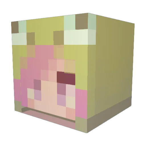 amblyrambly Minecraft avatar head, 3D render