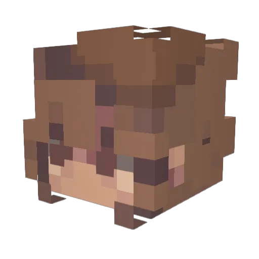 ambrannie_ Minecraft avatar head, 3D render