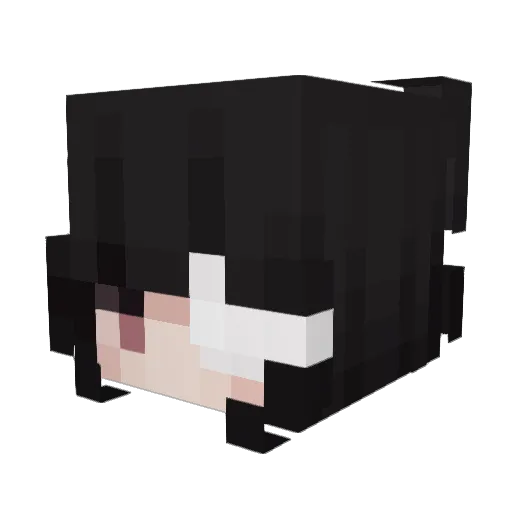 ambsu5391 Minecraft avatar head, 3D render