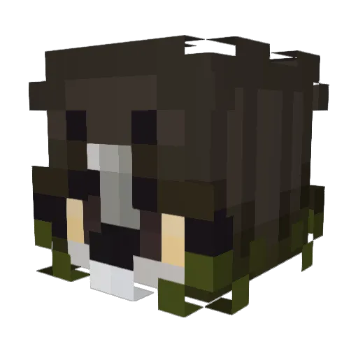 ambwer Minecraft avatar head, 3D render