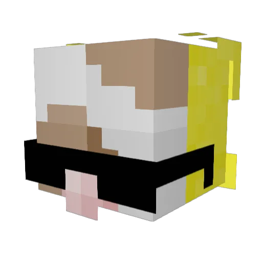 amcg47 Minecraft avatar head, 3D render