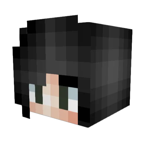 amdflip Minecraft avatar head, 3D render
