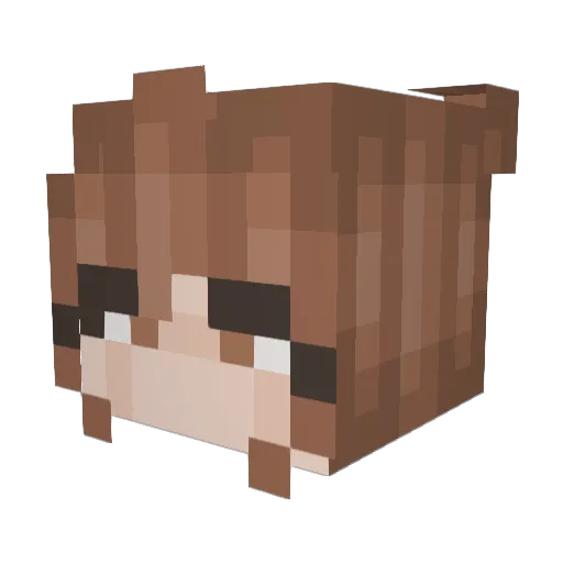 amdilly Minecraft avatar head, 3D render