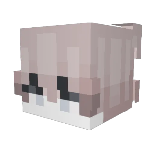 amdumb Minecraft avatar head, 3D render