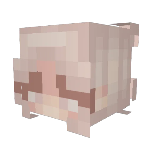 ame1ie Minecraft avatar head, 3D render