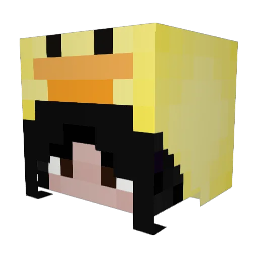 amee1025 Minecraft avatar head, 3D render