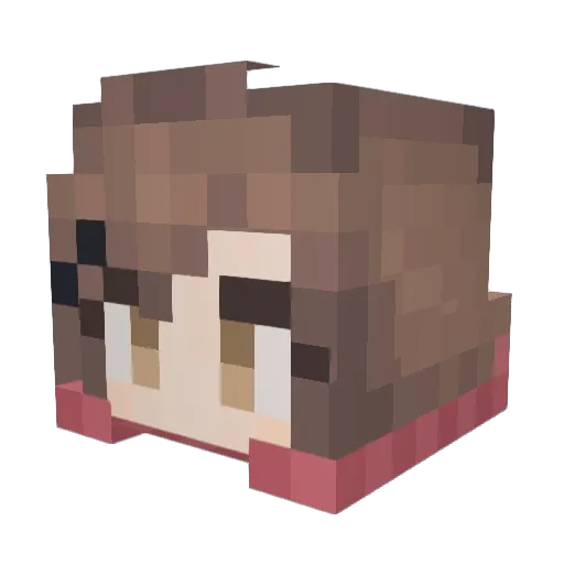 ameeeeeeeeeeeee Minecraft avatar head, 3D render