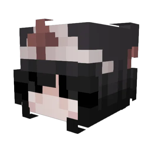 ameeelia Minecraft avatar head, 3D render