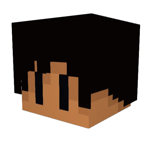 ameet6 Minecraft avatar head, 3D render