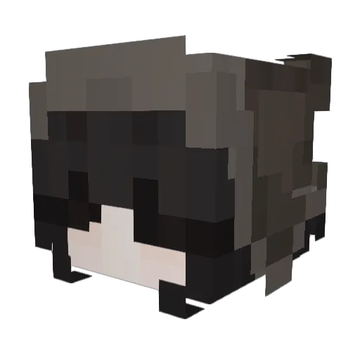 ameiis Minecraft avatar head, 3D render