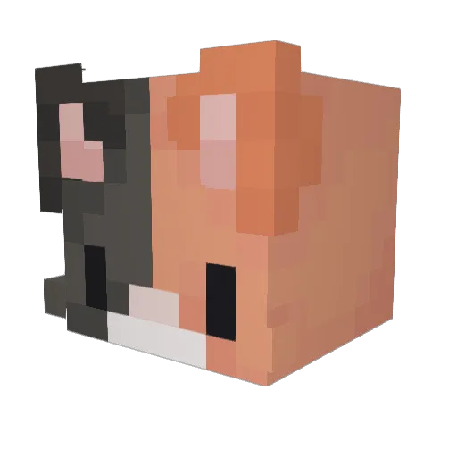 ameleczka Minecraft avatar head, 3D render