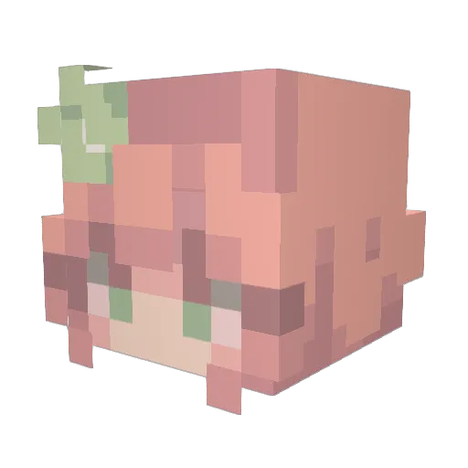 ameliathecoolest Minecraft avatar head, 3D render