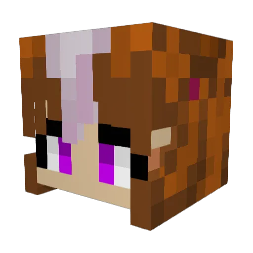 ameliator Minecraft avatar head, 3D render