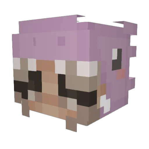 ameliaworm Minecraft avatar head, 3D render
